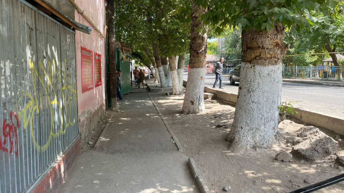 Анастасия Новикова