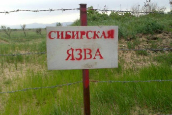 Фотография к новости: Волонтёры нашли два сибиреязвенных захоронения в частном секторе Жетысу