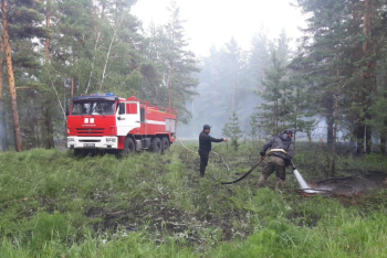 В Минэкологии нашли способ увеличить зарплаты внештатным сотрудникам лесхоза