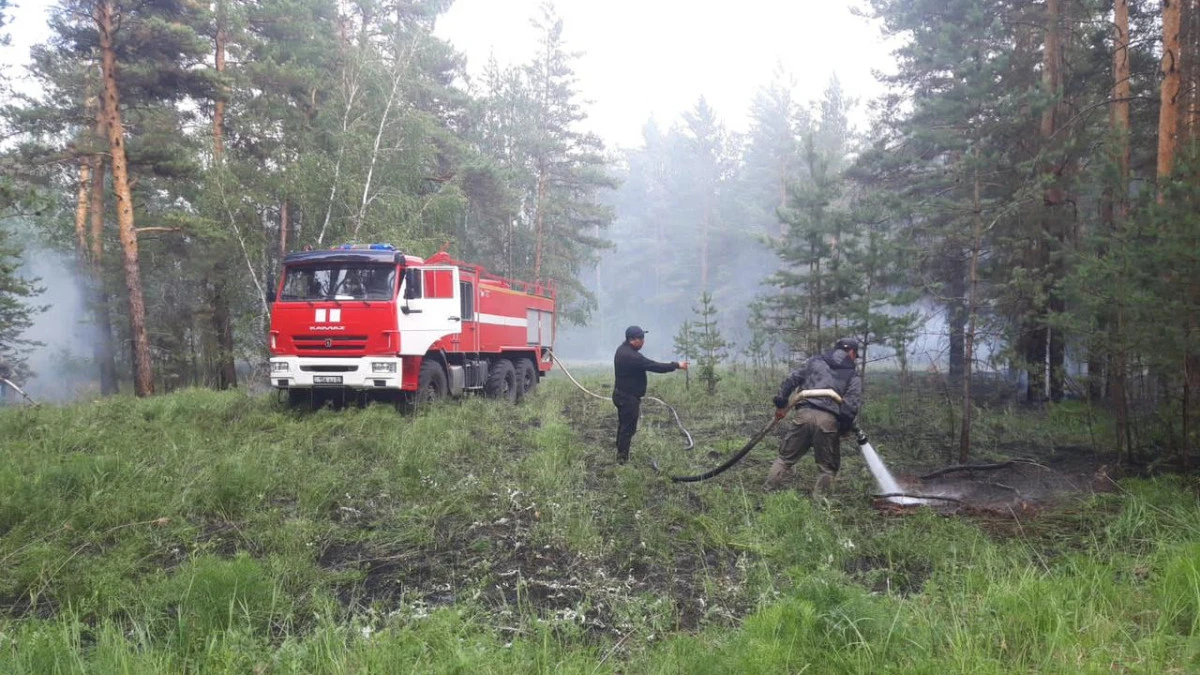 Инспекция лесного хозяйства и животного мира Акмолинской области