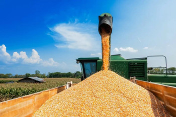 Более 72 тысяч тонн зерна отправил Казахстан в Тунис