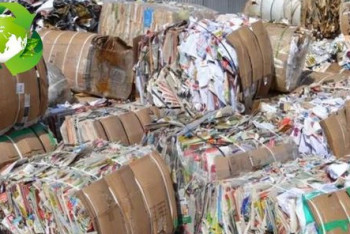 Экологи добились запрета на работу целлюлозно-бумажного комбината в Караганде