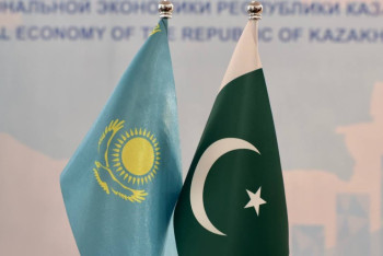 Сотрудничество в сфере IT планируют расширить Казахстан и Пакистан