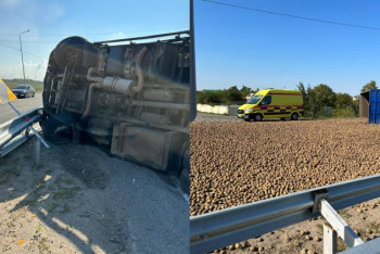 Картошкой засыпало трассу в Павлодаре