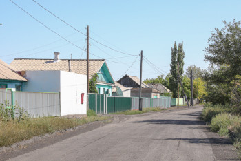 Сибирская язва в селе Абайской области: результаты ПЦР отрицательные