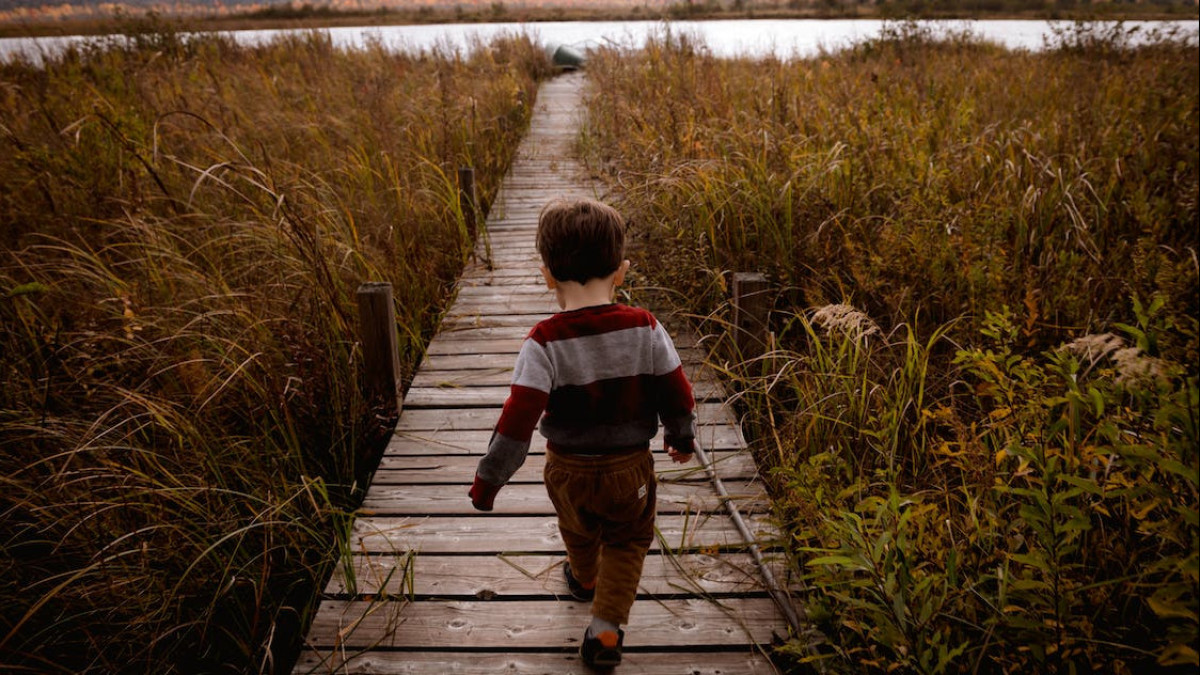 pexels.com / иллюстративное