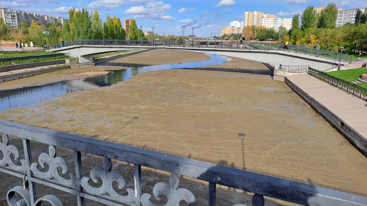 Чингиз Майсеит