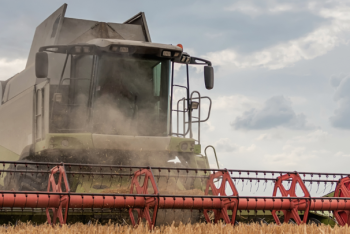 В Казахстане собрали около 60% урожая: хватит ли хлеба и муки на год