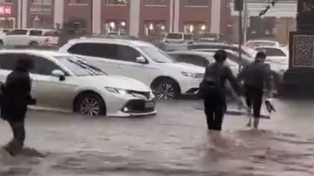 скриншот видео