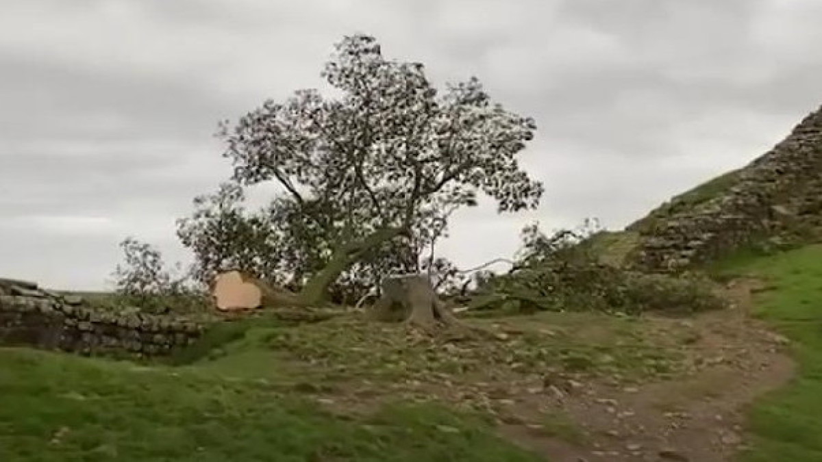 скриншот/ClickHeart TV 5