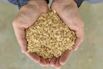 Производство овсяных безглютеновых хлопьев запустили в Акмолинской области