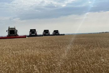 Запрет на ввоз пшеницы продлили в Казахстане