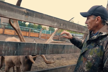 Фотография к новости: Опасная работа: кто заботится о животных в Боровом