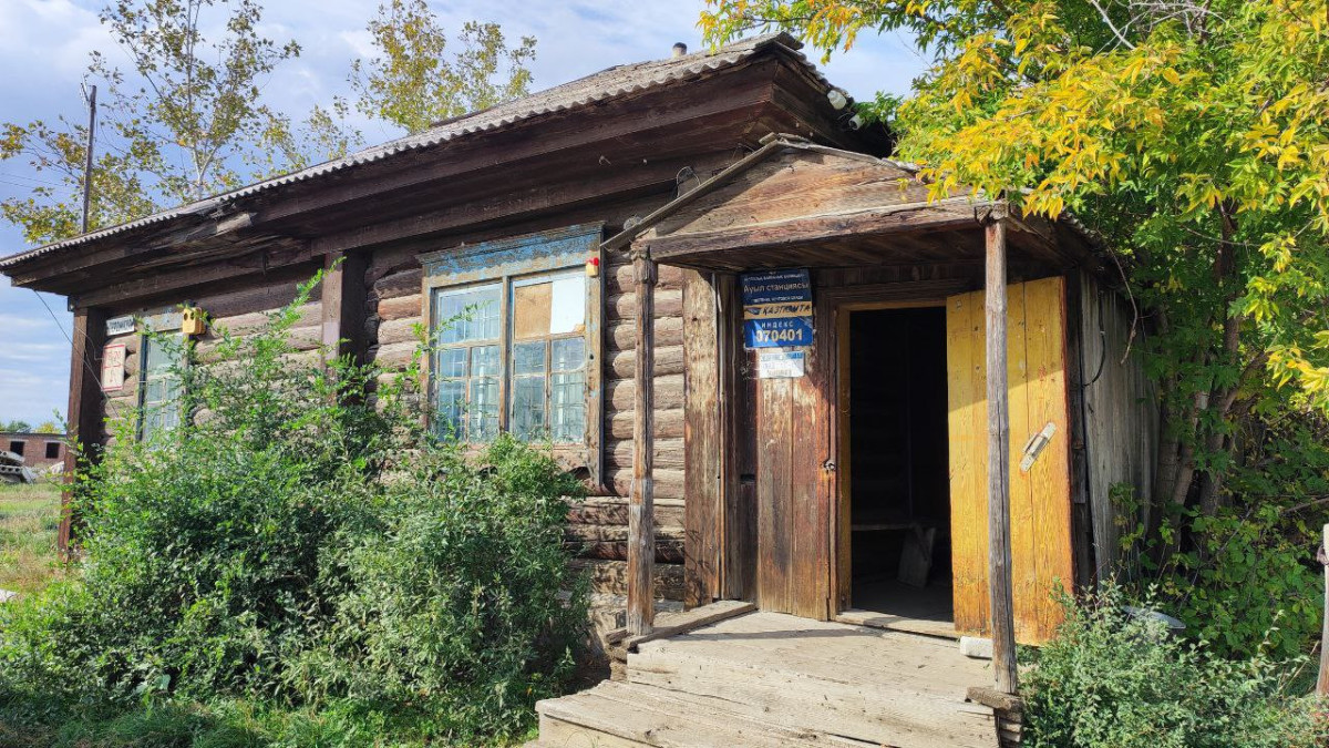 Альбина Халел