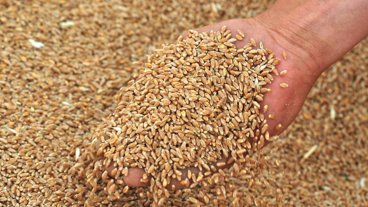 agromer.ru