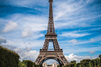 Фотография к новости: Жители Парижа страдают от аномального нашествия клопов