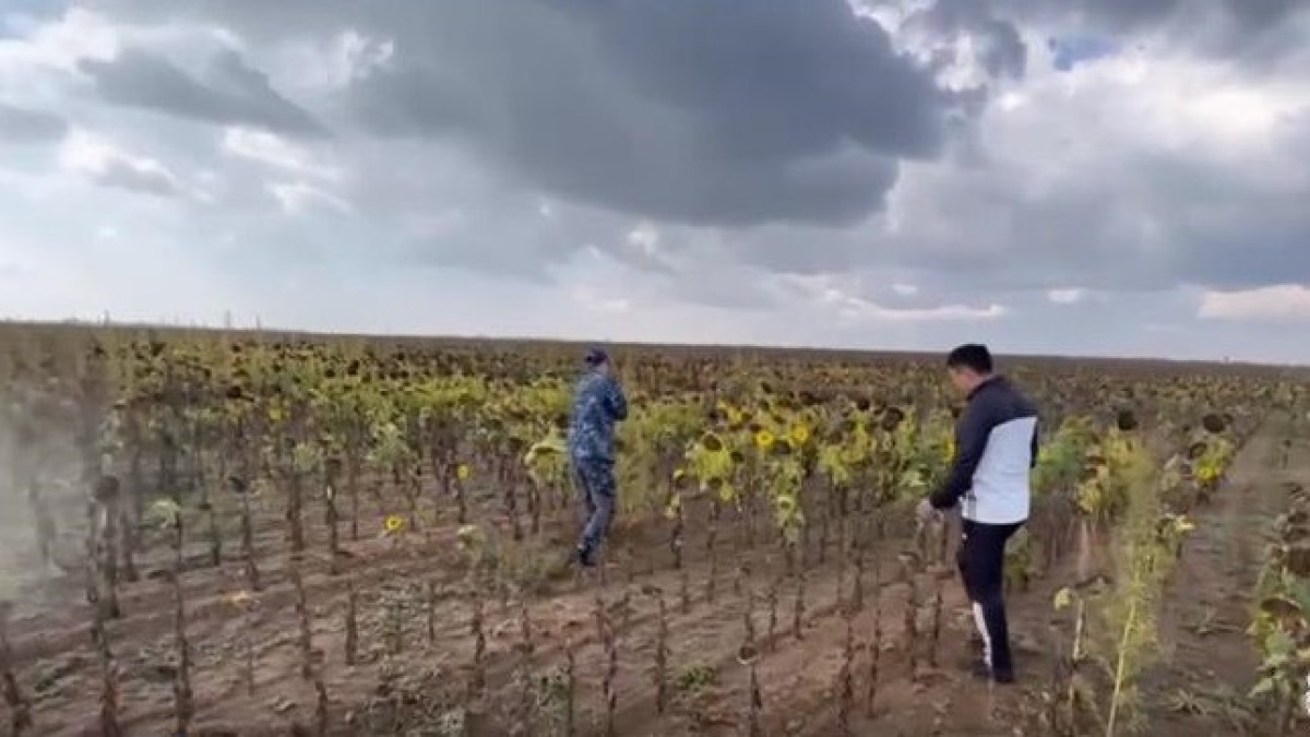 Telegram/POLICE_of_KZ