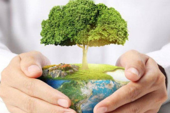 Предприниматели СКО больше года зазря платили экосбор