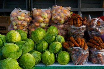 Что привезут Павлодарская и Абайская области на ярмарку в Астану