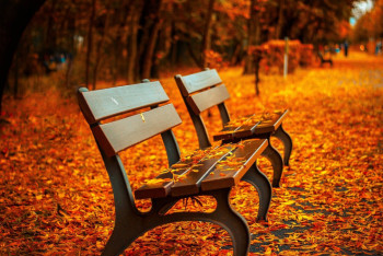 Фотография к новости: Жителям трёх городов Казахстана советуют меньше гулять в воскресенье