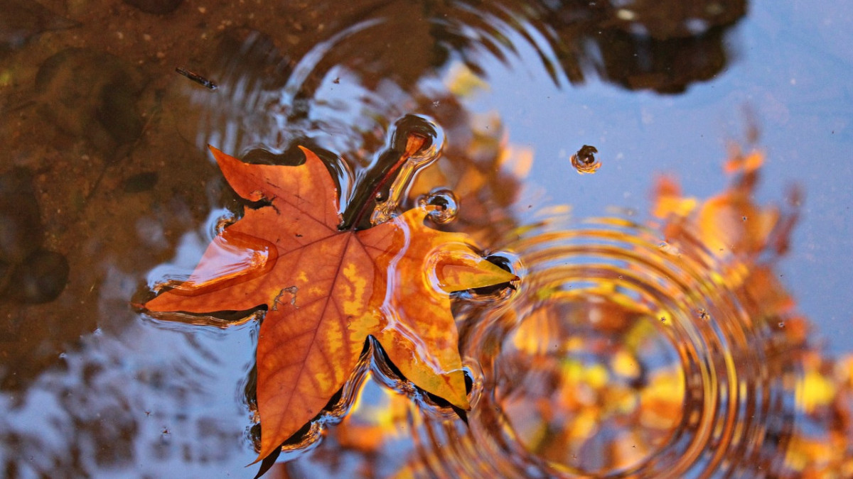 pixabay.com