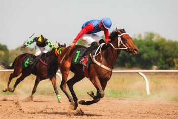 Призы на 82 миллиона тенге завоевали участники чемпионата Казахстана по байге