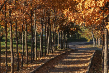 Резкое изменение погоды прогнозируют в Казахстане