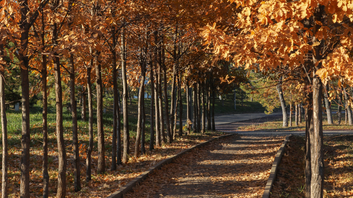 baigenews.kz/Бауыржан Жуасбаев