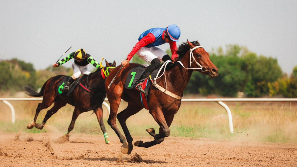 Telegram-канал almaty_akimat