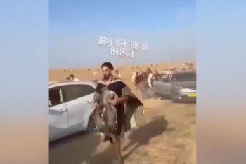 Не менее 260 тел обнаружили на территории музыкального фестиваля в Израиле