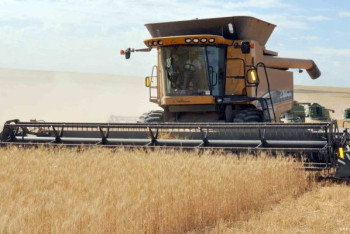 Фотография к новости: Кабмин принял меры для поддержки казахстанских аграриев