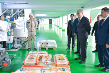 Фотография к новости: Касым-Жомарт Токаев ознакомился с работой рисового завода "Алтын Орда"