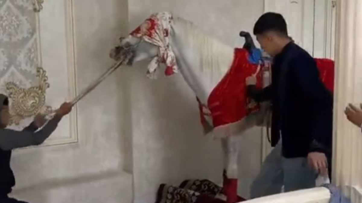 скриншот видео