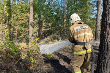 Фотография к новости: Больше половины техники в лесных хозяйствах устаревшая – глава Минэкологии РК