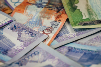 Фотография к новости: Нацфонд – детям: Сенат вернул в Мажилис закон по вопросам начислений детям