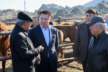 В Павлодарской области прошла международная конференция по коневодству