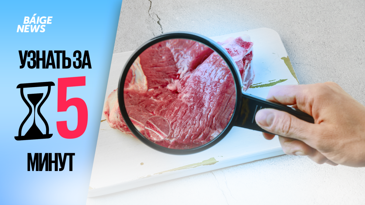 Узнать за 5 минут: как защититься от заражения сибирской язвой