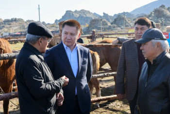 В Павлодарской области прошла международная конференция по коневодству