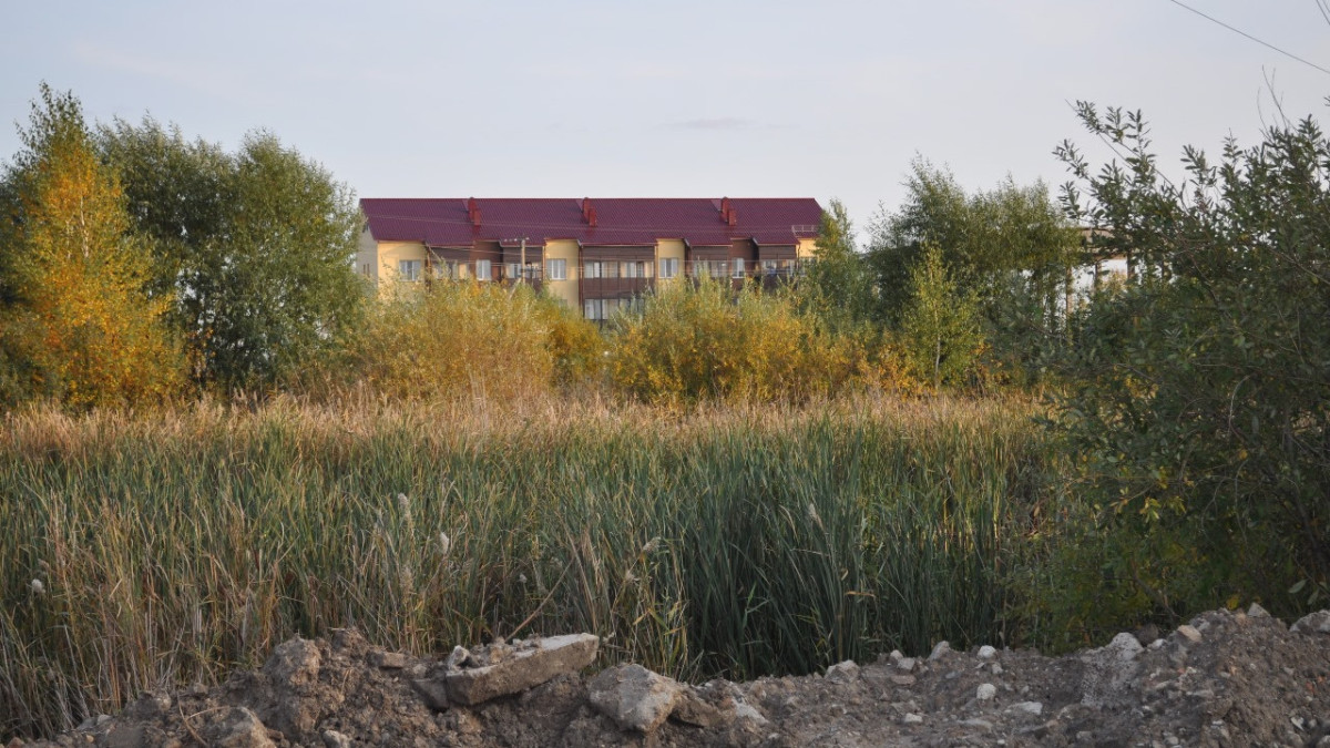 Анна Мирская