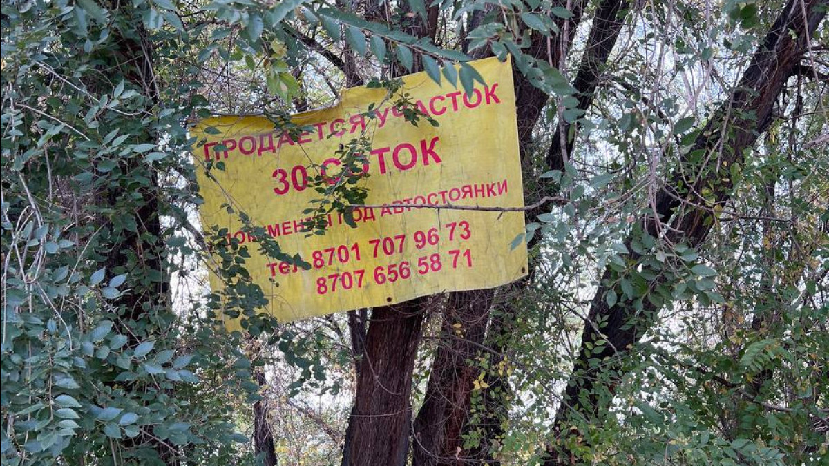 автора