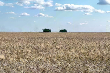 Фотография к новости: Комбайнёр погиб во время уборки урожая в Акмолинской области