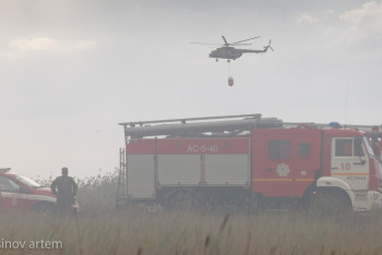 Почти 70 миллиардов тенге направят на развитие лесхозов Казахстана