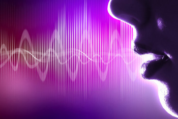 Россия намерена закрепить право человека на свой голос