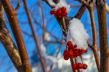 Зима в Казахстане будет тёплой