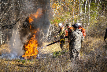 Фотография к новости: Учения "Орман-Дала-2023" прошли в Акмолинской области