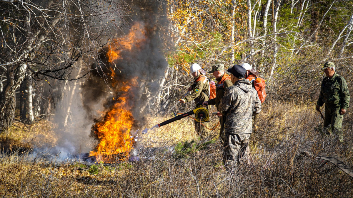 Учения "Орман-Дала-2023" прошли в Акмолинской области