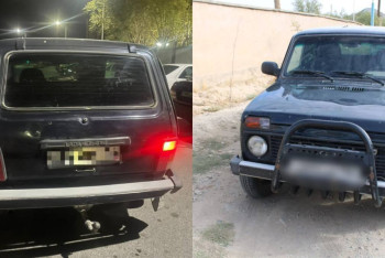 Фотография к новости: Пастух угнал Ниву и сбежал на ней в другую область в Казахстане