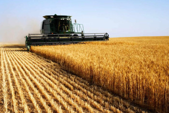 Глава МСХ рассказал, как обеспечить продовольственную безопасность в Казахстане