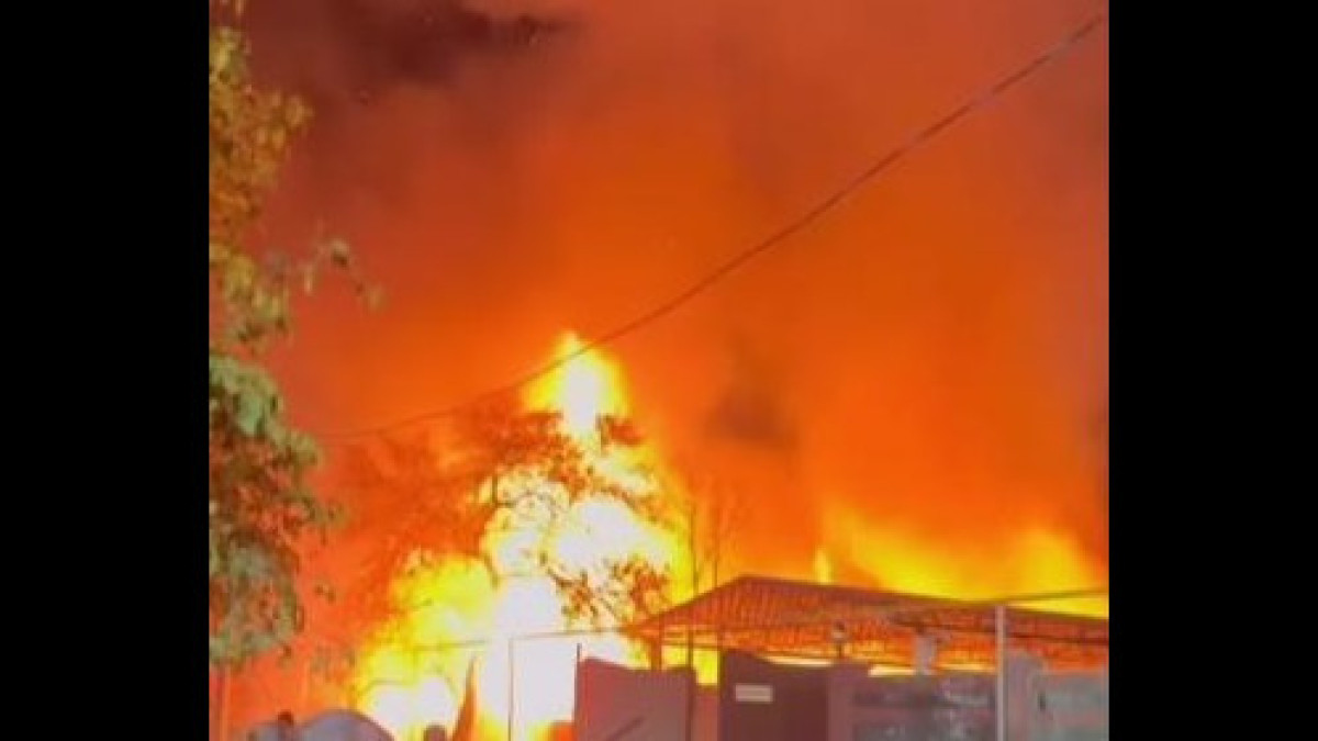 скриншот с видео/instagram.com/kris_p_talgar