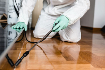 Фотография к новости: Двое детей погибли после травли клопов в Актау: ещё один ребёнок в реанимации